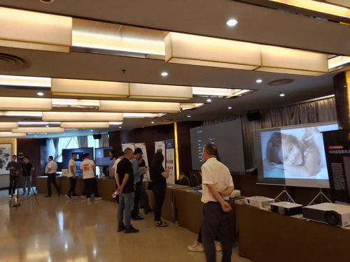 2021視聽行業(yè)高峰論壇暨萬里行全國巡展杭州站順利召開 多媒體設計服務的創(chuàng)新與發(fā)展