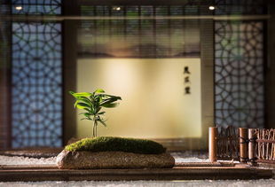 揚州精品茶葉店裝修與茶樓設(shè)計裝潢——盡在揚州宏鉅茶館服務